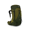 Herrenrucksack OSPREY ATMOS AG LT 65 scenic valley/green peppercorn
