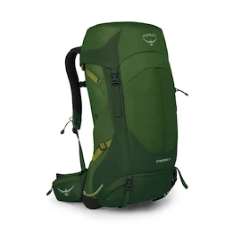 Herrenrucksack OSPREY Stratos 36 seaweed/matcha green