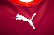 Home Jersey Replica Puma Czech Republic with the original signature of Petr Cech
