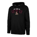 Hoodie 47 Brand Outrush NHL Arizona Coyotes