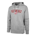Hoodie 47 Brand Outrush NHL Detroit Red Wings