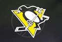 Hoodie adidas Authentic Training NHL Pittsburgh Penguins