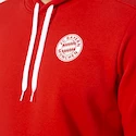 Hoodie adidas FC Bayern München AP1659