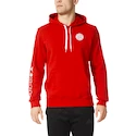 Hoodie adidas FC Bayern München AP1659