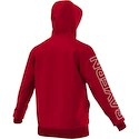 Hoodie adidas FC Bayern München AP1659
