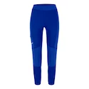 Hosen für Frauen Salewa  Lavaredo Hemp Electric 38