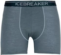 Icebreaker Anatomica Boxershorts für Männer
