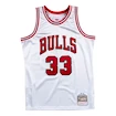 Jersey Mitchell & Ness Platinum Swingman NBA Chicago Bulls Scottie Pippen 33