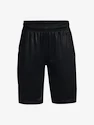 Jungen Shorts Under Armour  Renegade 3.0 PRTD Shorts-BLK