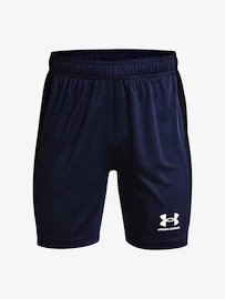 Jungen Shorts Under Armour Y Challenger Knit Short-NVY