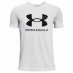 Jungen T-Shirt Under Armour Sportstyle Logo SS grau Heat