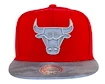 Kappe Mitchell & Ness Reflective Camo NBA Chicago Bulls