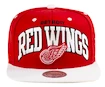 Kappe Mitchell & Ness Team Arch NHL Detroit Red Wings