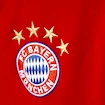 Kapuzenjacke FC Bayern München 3S AP1648