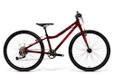 Kinder Fahrrad Amulet  24 Tomcat