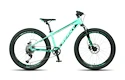 Kinder Fahrrad Beany Blaster  24 Mint