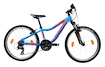 Kinder Fahrrad Rock Machine 24 Surge 24 blau + GESCHENK
