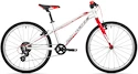 Kinder-Fahrrad Rock Machine 24 Thunder 2020 in silbern