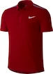 Kinder Poloshirt Nike Advantage Premier RF 822279-677