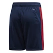 Kinder Shorts adidas