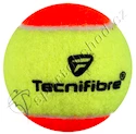 Kinder-Tennisbälle  Tecnifibre Balls Mini Tennis (40 Stk.)