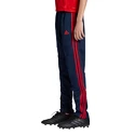 Kinder Trainingshose adidas  Arsenal FC
