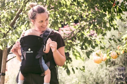 Kindertrage Little Life  Acorn Baby Carrier