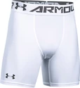 Kurze Hosen Under Armour HeatGear