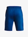 Kurze Hosen Under Armour UA Tech Vent Short-BLU