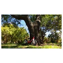 Laufrad Woom 1 Classic GO Red