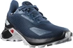 Laufschuhe für Kinder Salomon  Alphacross Blast Climasalomon Waterproof Dark Denim