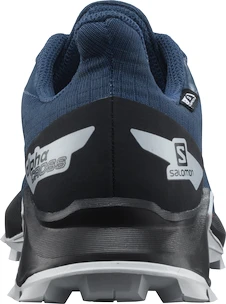 Laufschuhe für Kinder Salomon  Alphacross Blast Climasalomon Waterproof Dark Denim