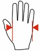 MadMax Professional Handschuhe MFG269 braun