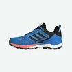 Männer Schuhe adidas  Terrex Skychaser 2 GTX Blue