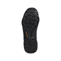 Männer Schuhe adidas  Terrex SWIFT R3 GTX