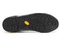 Männer Schuhe Asolo  Track MM
