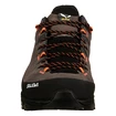 Männer Schuhe Salewa  Alp Trainer 2 Bungee Cord/Black