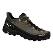 Männer Schuhe Salewa  Alp Trainer 2 Bungee Cord/Black