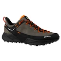 Männer Schuhe Salewa  Dropline Leather Bungee Cord/Black