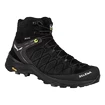 Männer Schuhe Salewa  MS Alp Trainer 2 MID GTX