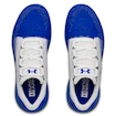 Männer Schuhe Under Armour