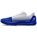 Männer Schuhe Under Armour