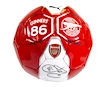 Mini Ball Puma Fan Arsenal FC with the original signature of Petr Čech