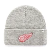 Mütze 47 Brand Brain Freeze NHL Detroit Red Wings