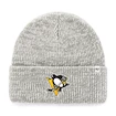 Mütze 47 Brand Brain Freeze NHL Pittsburgh Penguins
