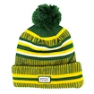 Mütze New Era Onfield Cold Weather Home NFL Green Bay Packers