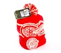 Mütze Reebok Winter Classic NHL Detroit Red Wings