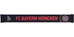 Paket FC Bayern München All Inclusive