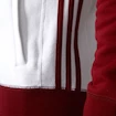 Paket FC Bayern München Trip