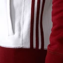 Paket FC Bayern München Trip